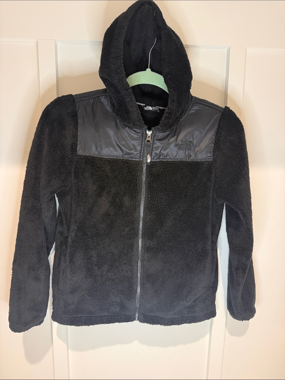 The North Face Osito Hoodie Jacket